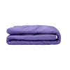 Ковдра зима LAVANDER 2,00х2,20у сумці (AR CLOUD) ( ковдра з бейкою 2,0*2,20 Lavender /15-3817/SKOBA 40 силікон 350  у сумці