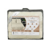 Ковдра зима VANILA DREAM 2,00х2,20 у сумці (AR CLOUD) ( ковдра з бейкою 2,0*2,20 мікрофібра №12 Beige/ 274/ силікон 350/ бейка №12 Beige/ у сумці)