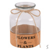 Ваза скляна "Flowers&Plants" 7*15см R35673-W (40шт)