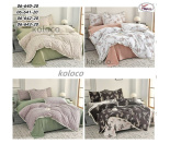 Постіль KOLOCO СІМЕЙНА (150*210) 06-643