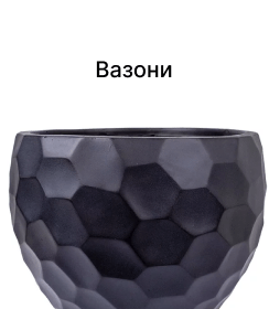 Вазони