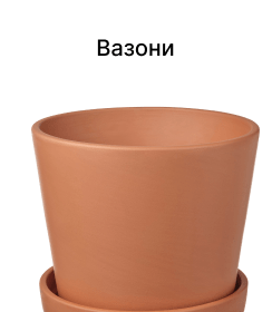 Вазони
